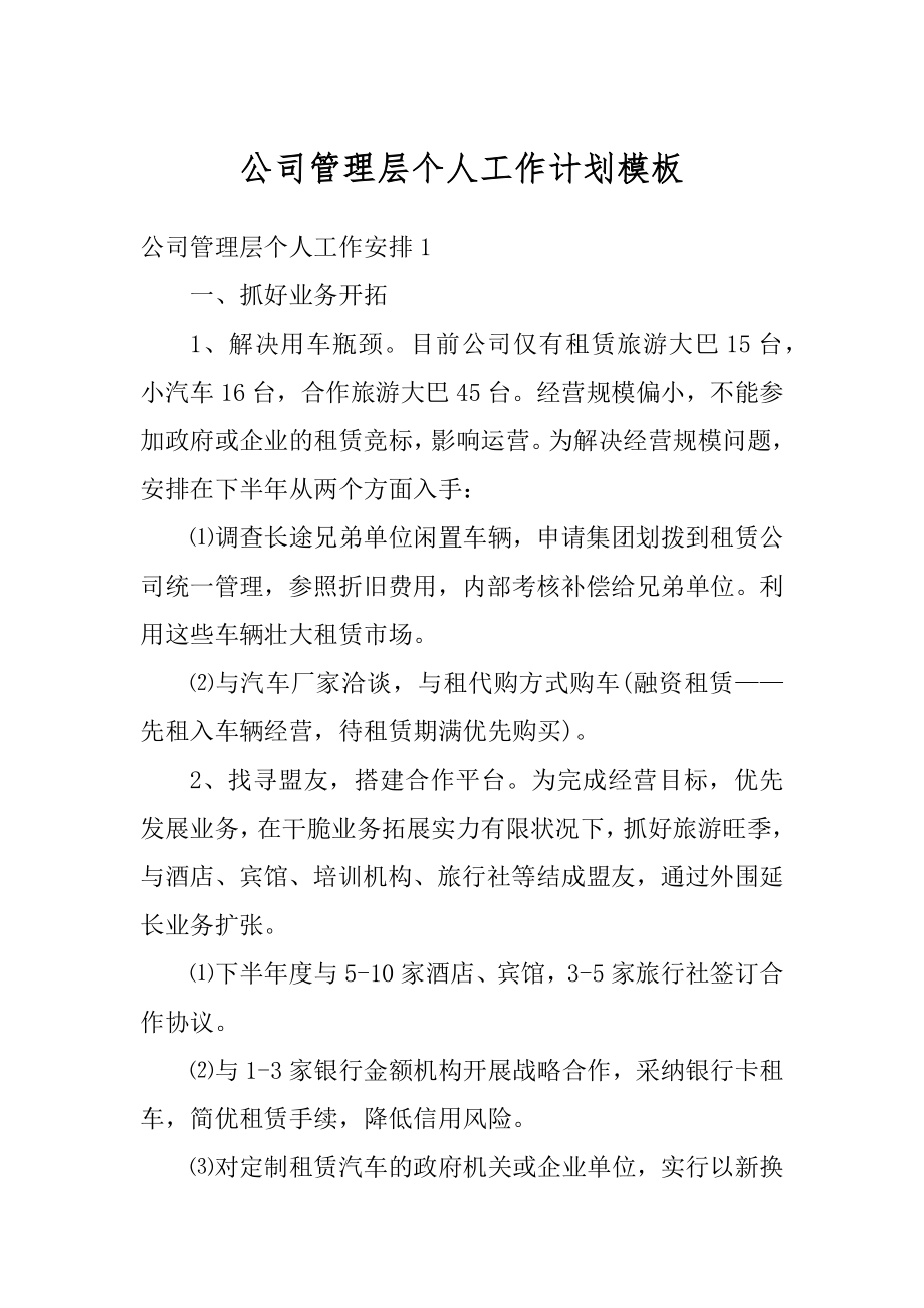 公司管理层个人工作计划模板范例.docx_第1页