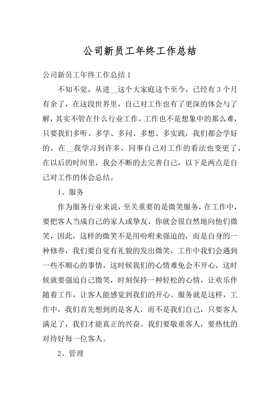 公司新员工年终工作总结精编.docx_第1页