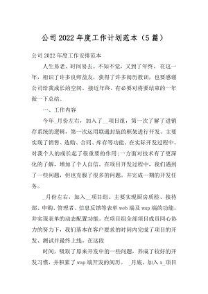 公司2022年度工作计划范本（5篇）汇编.docx