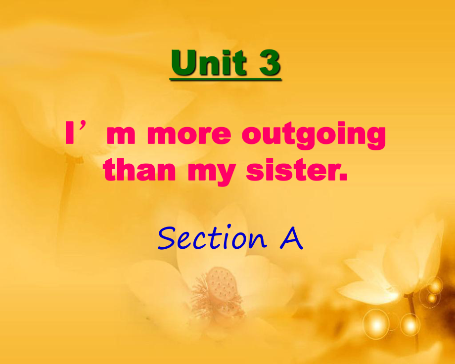 2013新人教版八年级上册Unit_3_I'm_more_outgoing_than_my_sister_Section_A (2).ppt_第1页