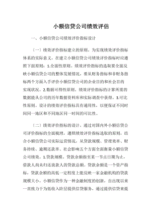 小额信贷公司绩效评估-精品文档.docx