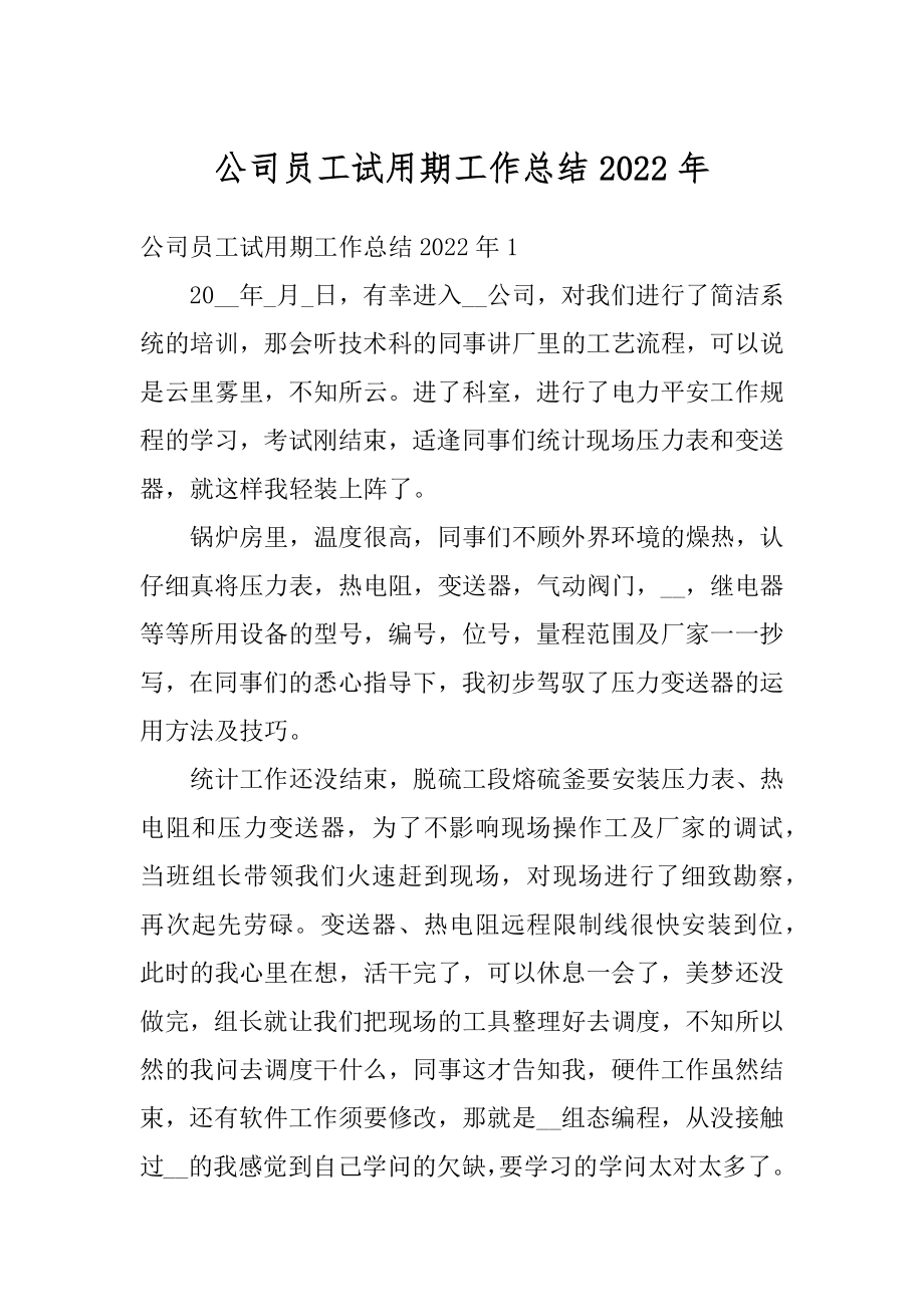 公司员工试用期工作总结2022年例文.docx_第1页