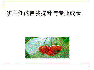 班主任的自我提升与专业成长.ppt