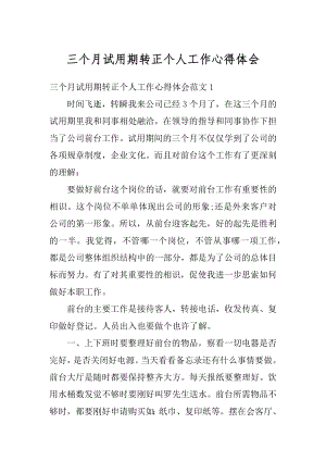 三个月试用期转正个人工作心得体会范例.docx