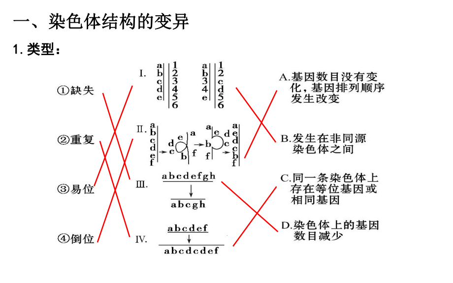 252染色体变异12.ppt_第2页