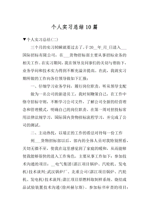 个人实习总结10篇例文.docx