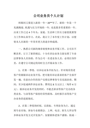 公司业务员个人计划.docx