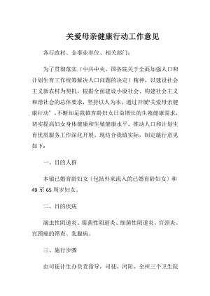 关爱母亲健康行动工作意见.docx