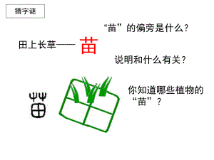 苏教版二上《识字4》 (2).ppt