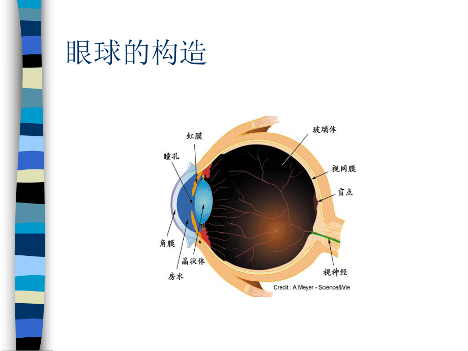 儿童眼保健知识PPT课件.ppt_第2页