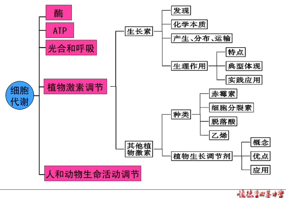 2植物激素调节.ppt_第2页