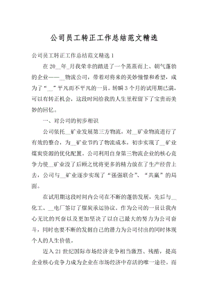 公司员工转正工作总结范文精选精编.docx