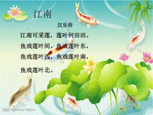 《荷花》PPT (3).ppt