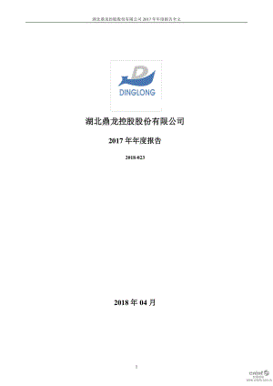 鼎龙股份：2017年年度报告（更新后）.PDF