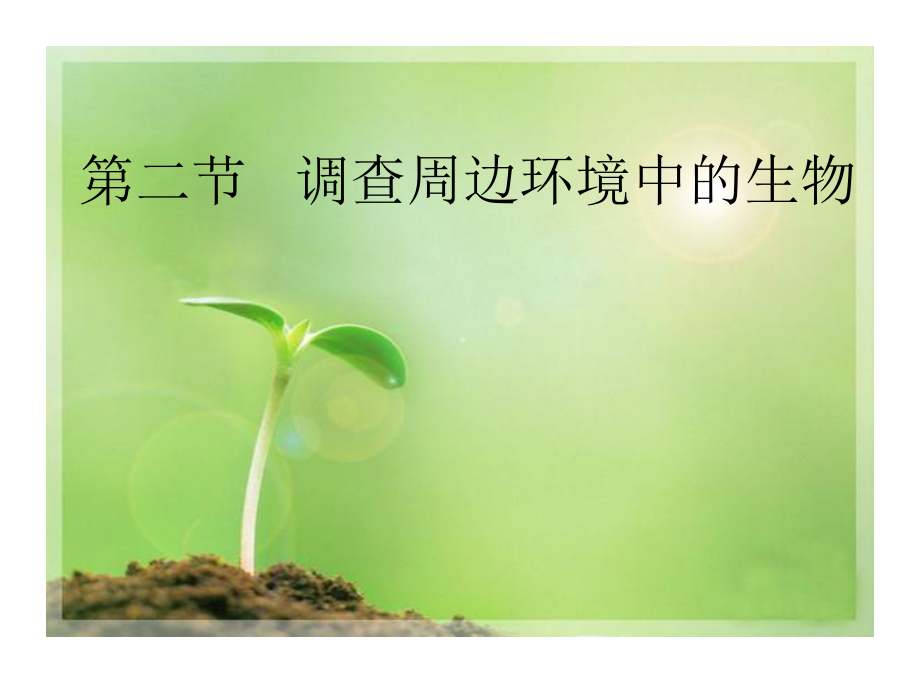 调查周边环境中的生物.ppt_第1页