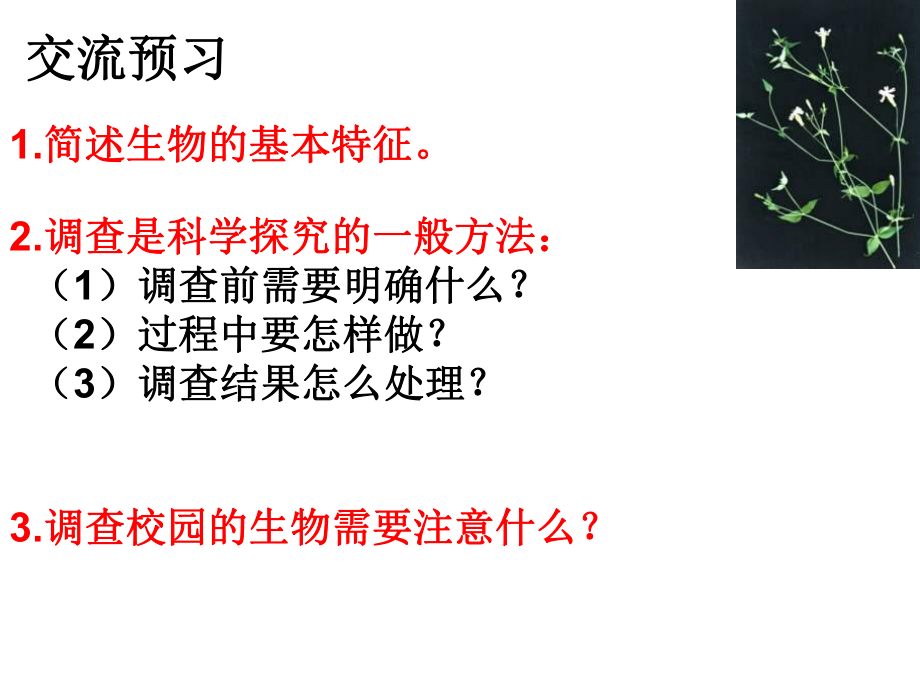 调查周边环境中的生物.ppt_第2页