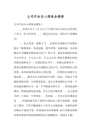 公司开会后心得体会感悟精编.docx