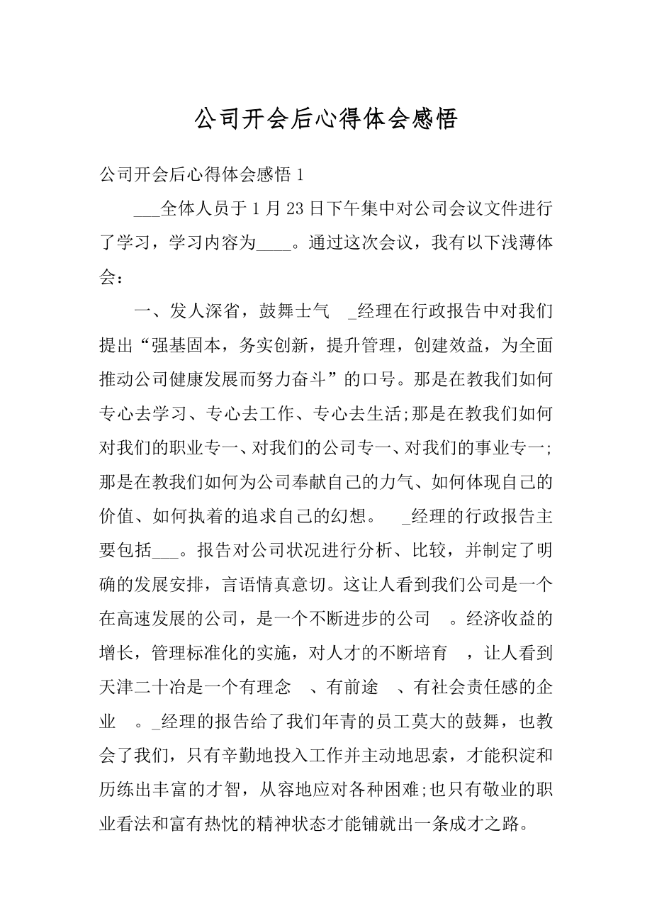 公司开会后心得体会感悟精编.docx_第1页