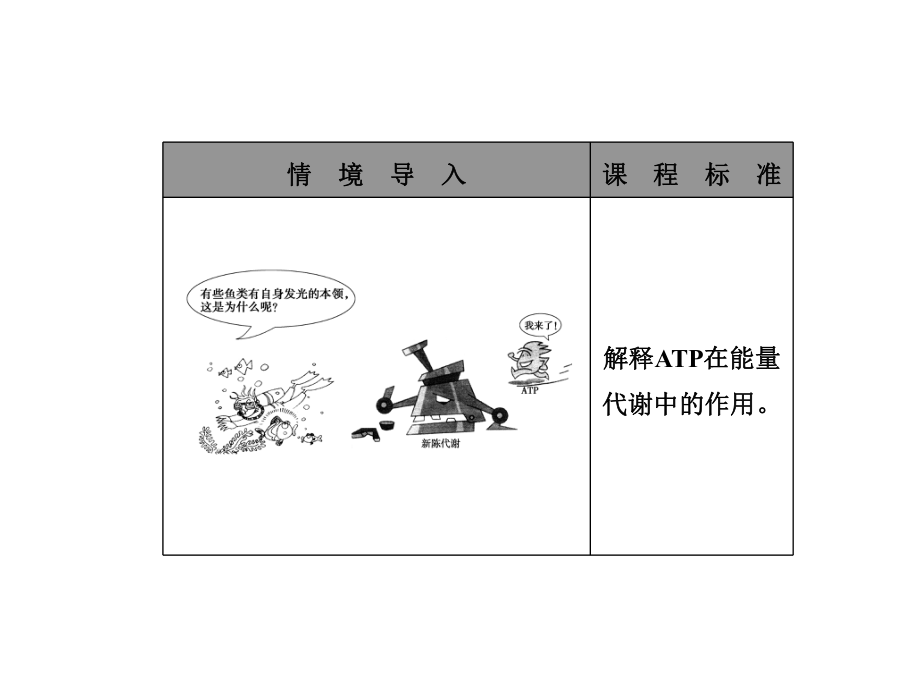 52细胞的能量“通货”-ATP.ppt_第2页