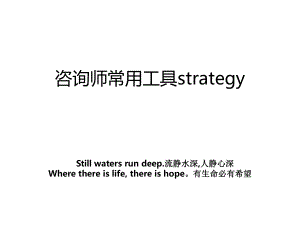 咨询师常用工具strategy.ppt