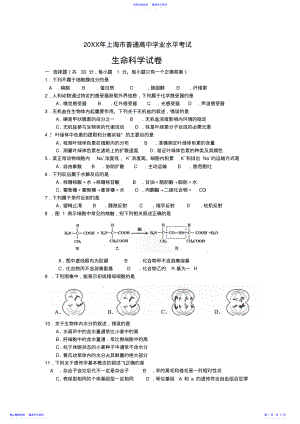 2022年2021年上海市普通高中学业水平考试生命科学试题及答案 .pdf