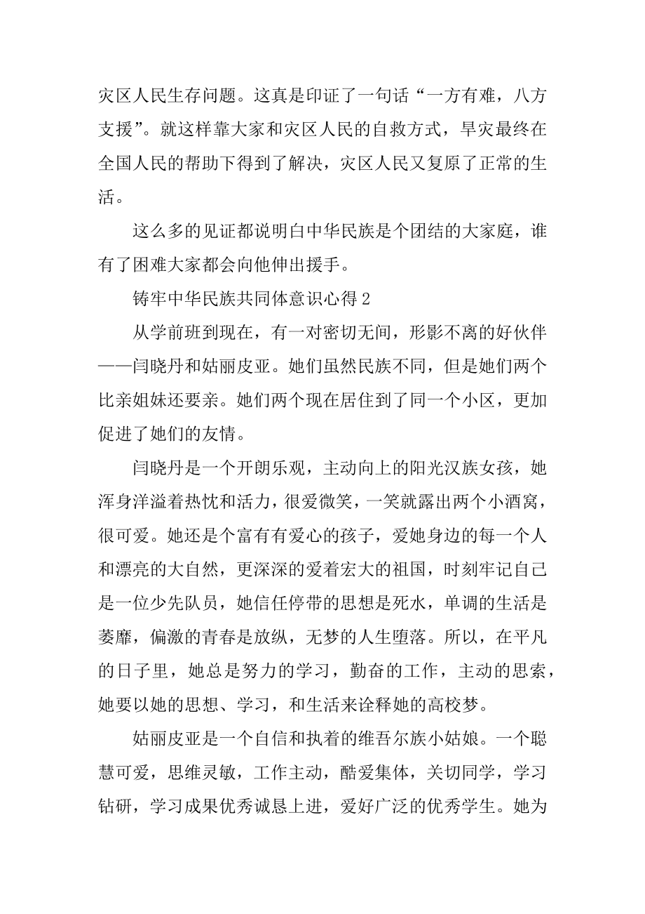 2022做好铸牢中华民族共同体意识工作心得六篇.docx_第2页