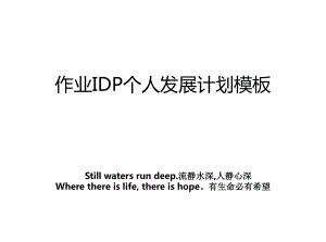 作业IDP个人发展计划模板.ppt