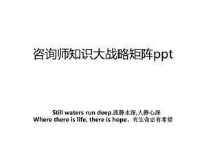 咨询师知识大战略矩阵ppt.ppt