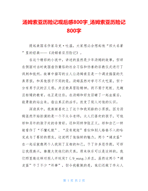 汤姆索亚历险记观后感800字汤姆索亚历险记800字.doc