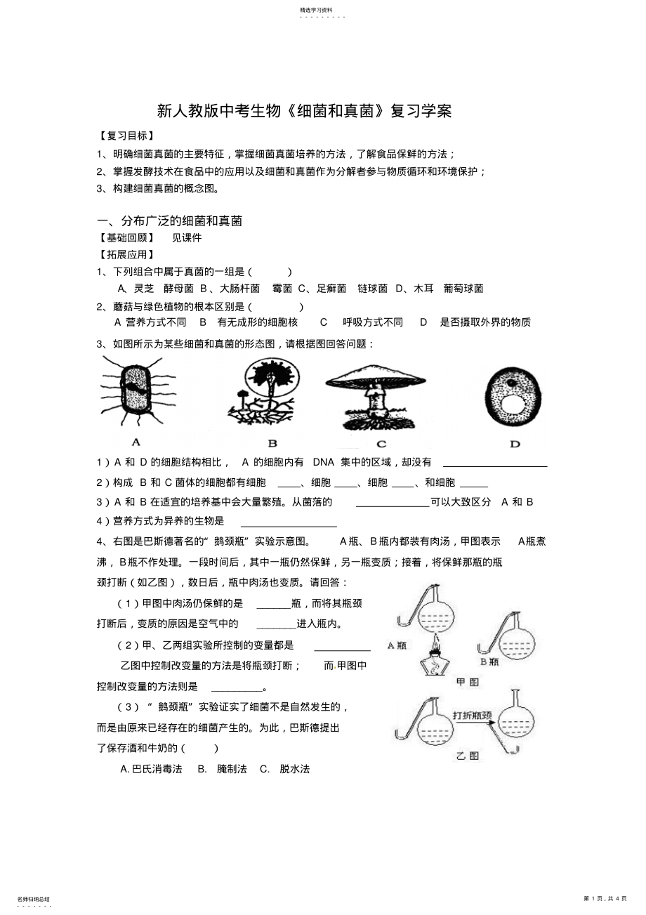 2022年新人教版中考生物《细菌和真菌》复习学案 2.pdf_第1页