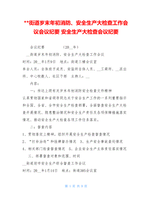 街道岁末年初消防、安全生产大检查工作会议会议纪要 安全生产大检查会议纪要.doc