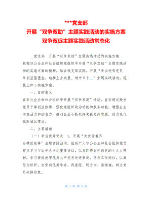 -党支部 开展“双争双助”主题实践活动的实施方案 双争双促主题实践活动常态化.doc