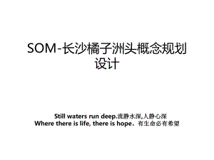 SOM-长沙橘子洲头概念规划设计讲课教案.ppt