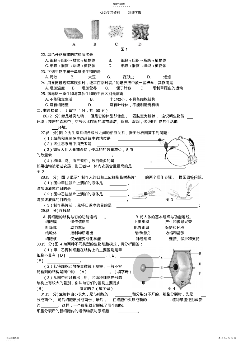 2022年新人教版七年级生物上册期中考试卷及答案集 .pdf_第2页