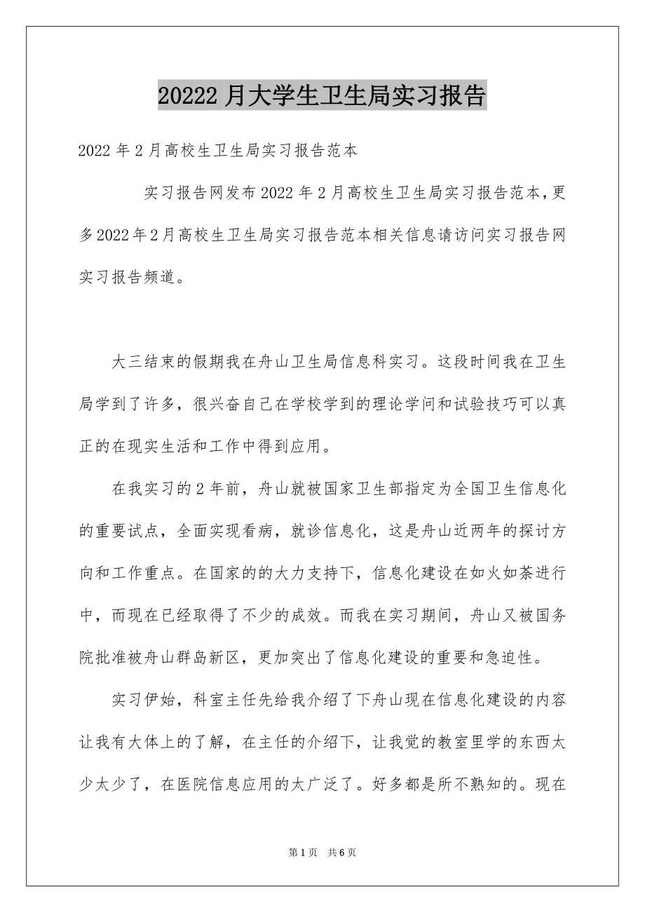 20222月大学生卫生局实习报告例文.docx_第1页