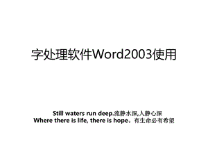 字处理软件Word2003使用.ppt