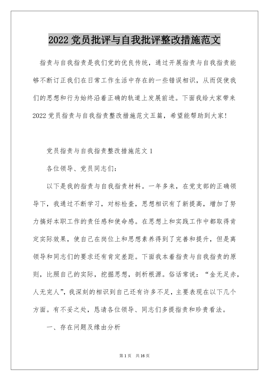 2022党员批评与自我批评整改措施范文.docx_第1页