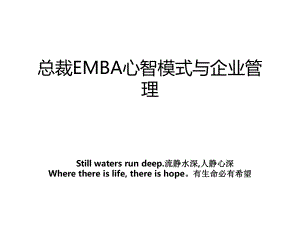 总裁EMBA心智模式与企业管理.ppt