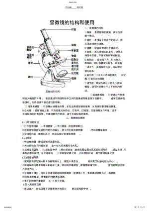 2022年显微镜使用知识总结 .pdf