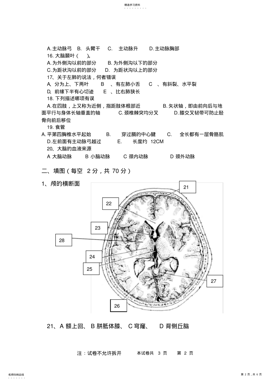 2022年断层解剖学试卷 .pdf_第2页