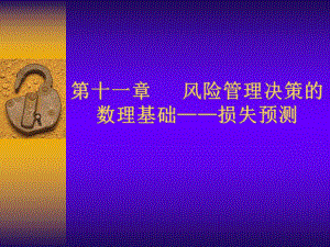 第11章-风险管理决策的数ppt课件.ppt