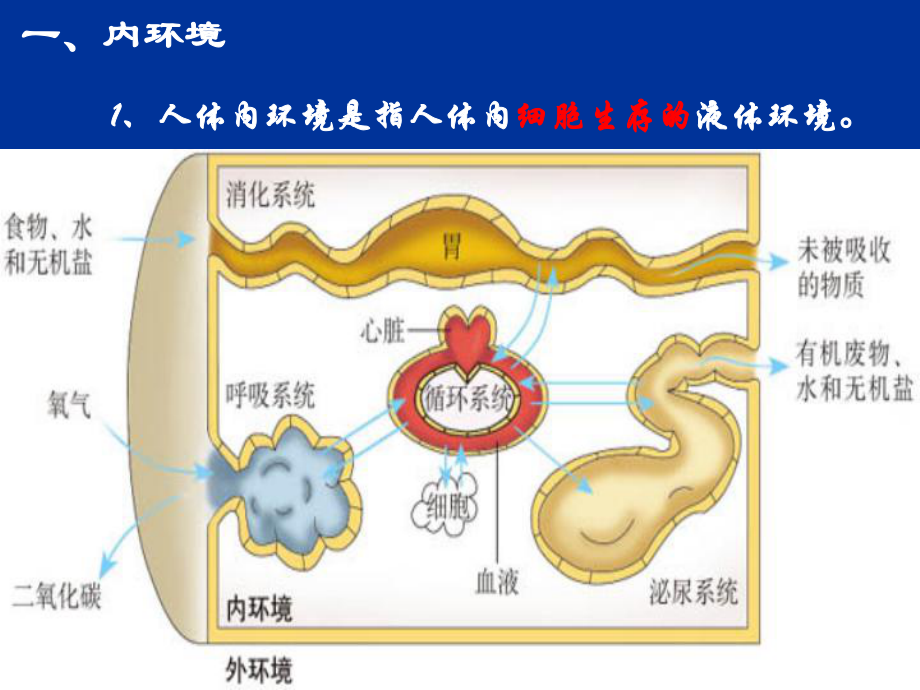 专题十一内环境与稳态.ppt_第2页