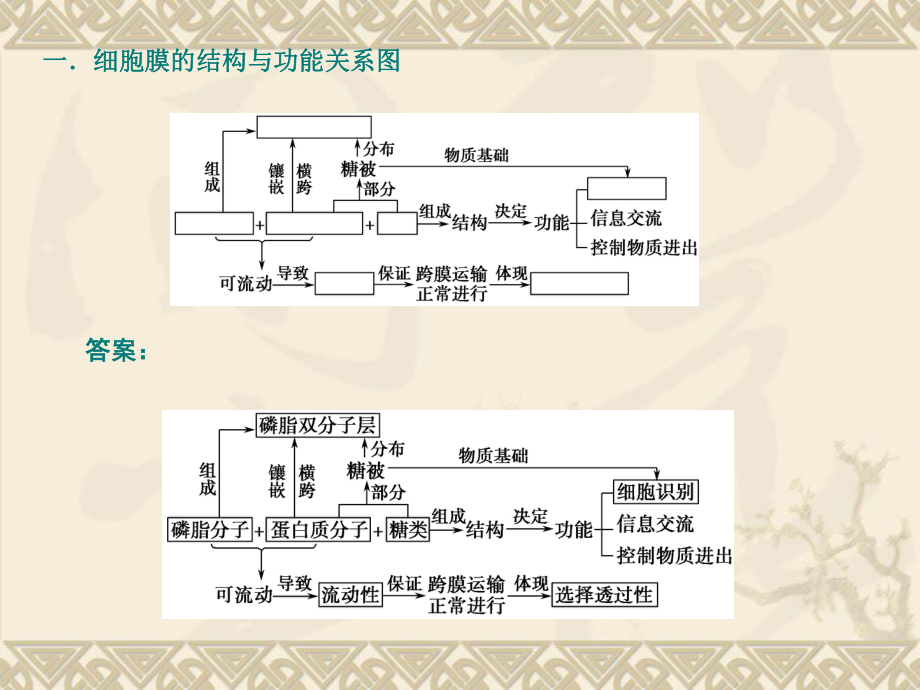 专题一细胞的分子组成与结构.ppt_第2页