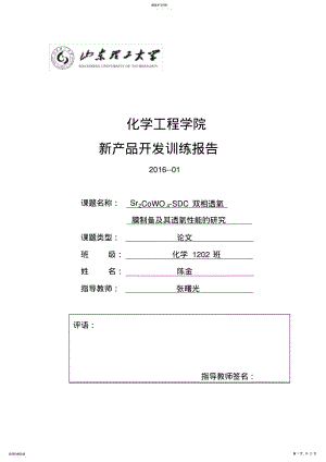 2022年新产品开发报告 .pdf