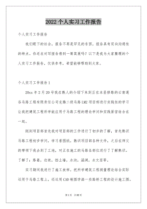 2022个人实习工作报告精选.docx