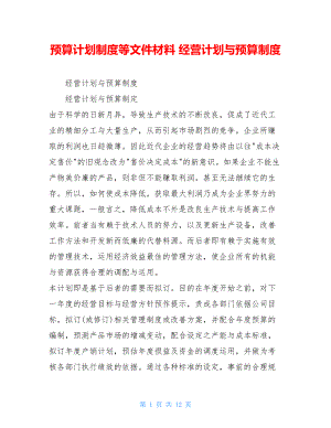 预算计划制度等文件材料 经营计划与预算制度.doc