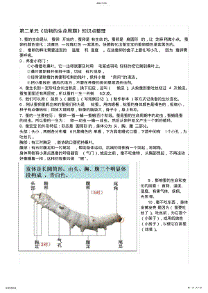 2022年小学三年级下科学第二单元《动物的生命周期》知识点整理 .pdf