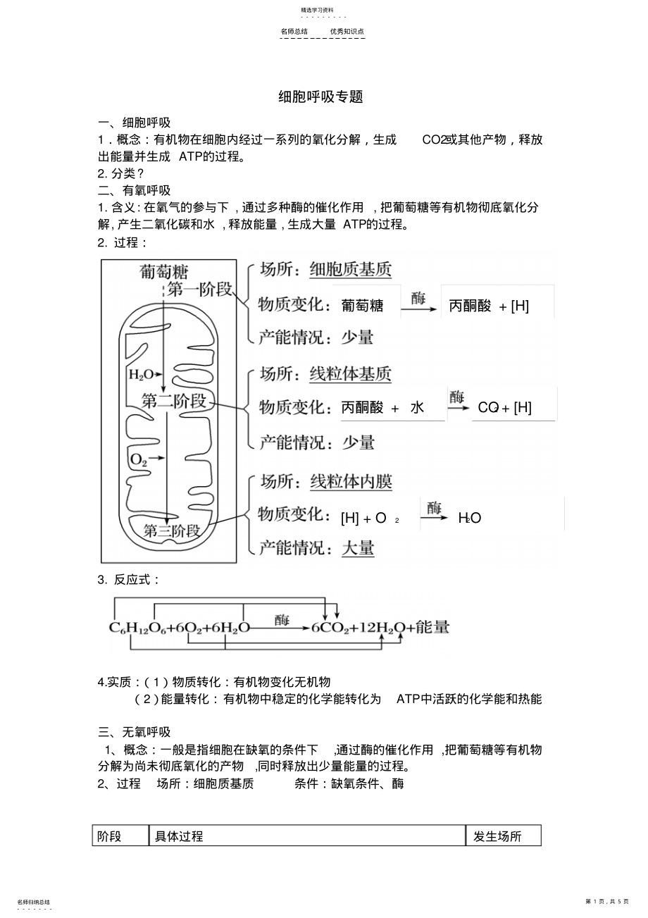 2022年细胞呼吸专题知识点 .pdf_第1页