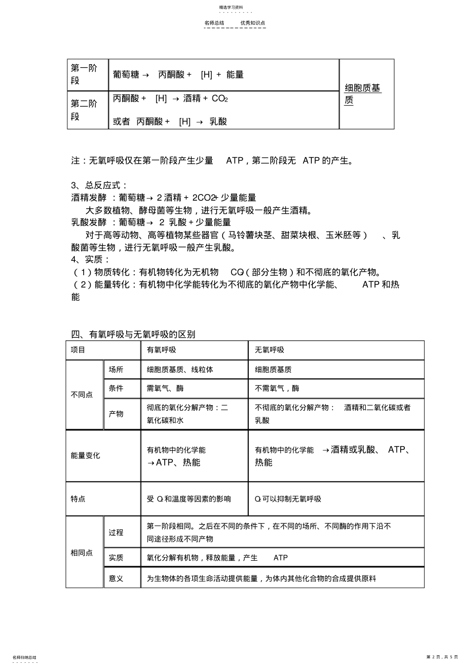 2022年细胞呼吸专题知识点 .pdf_第2页