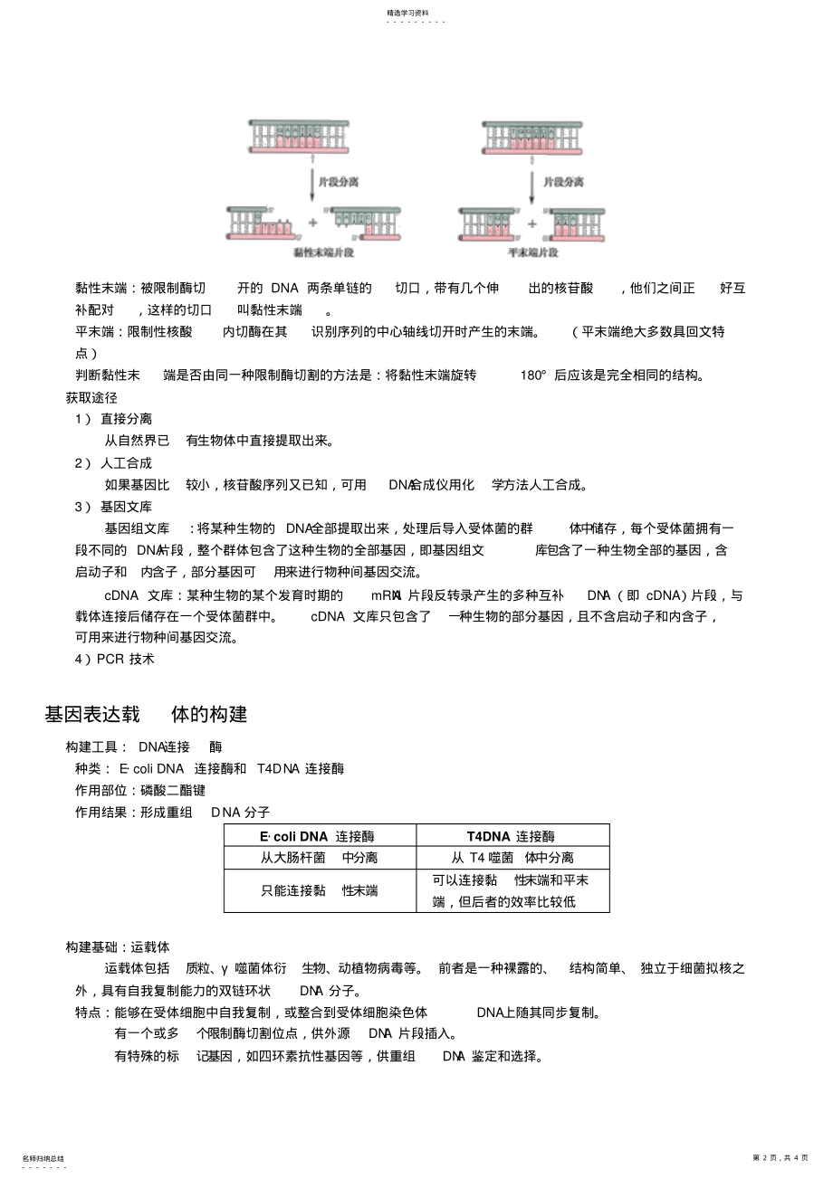 2022年基因工程高中生物化学选修三第一单元详细知识点整理 .pdf_第2页